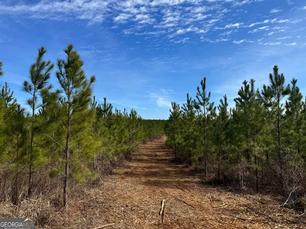 19 Dozier Rd, Ellaville, GA 31806