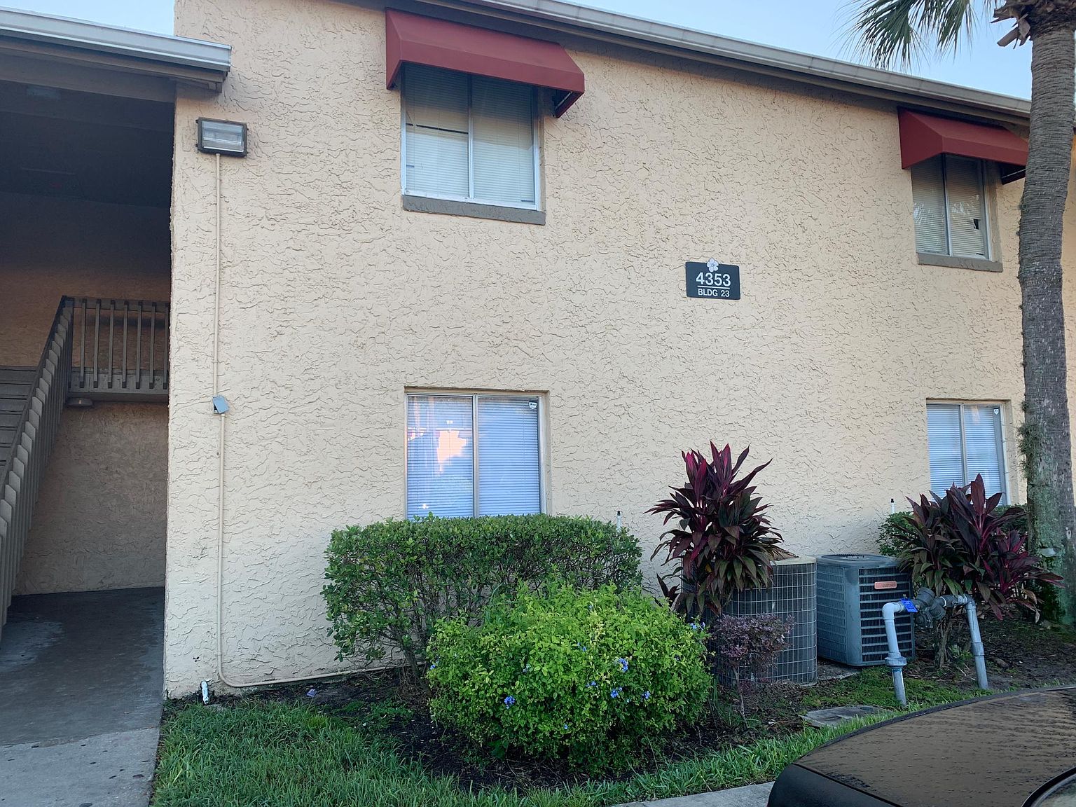 semoran vet