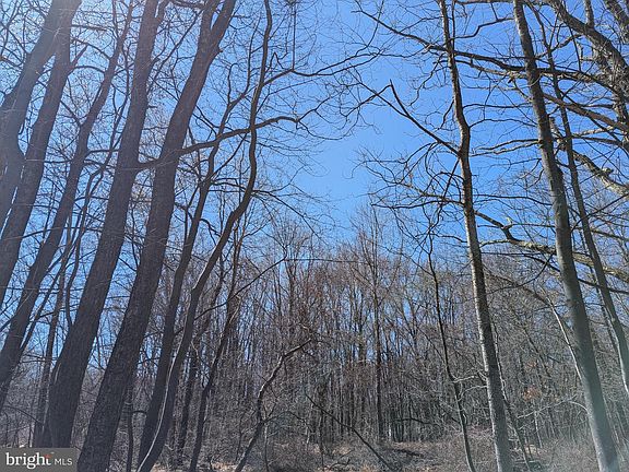 5th image of 0 628 #T