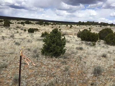 390 Commanche Dr, Ramah, NM, 87321