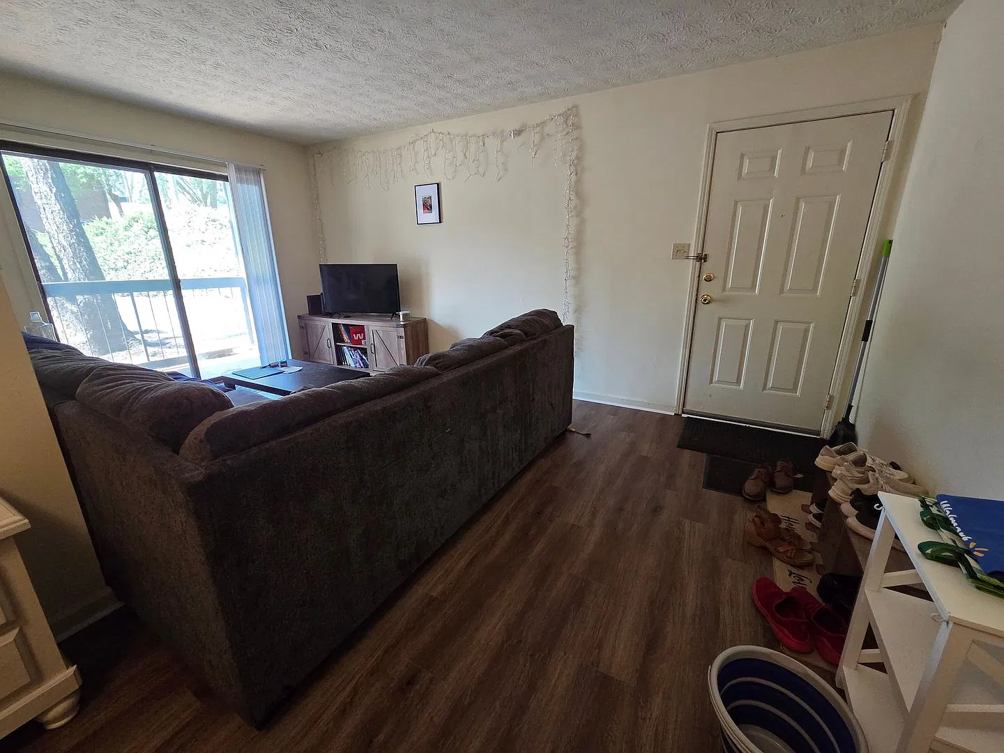 Campus View 1 Bedroom Apt. - Walking Distance to UGA! — Photo 3