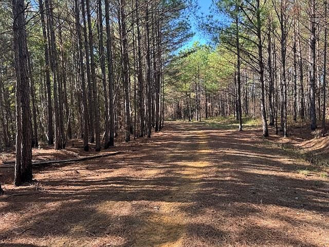 1st image of Walnut Grove Rd