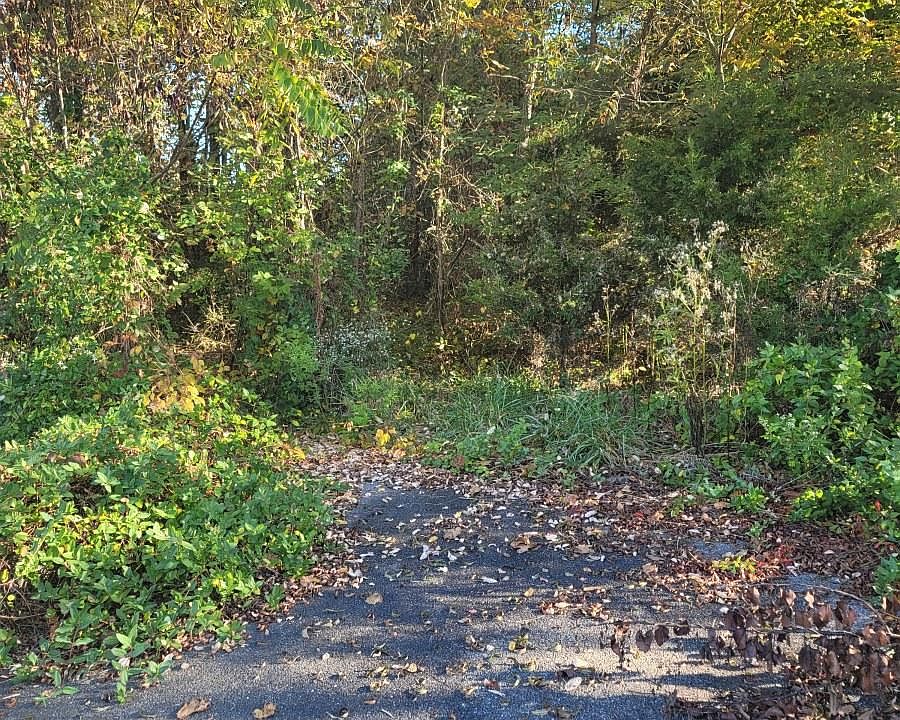 1st image of Plymouth Rd