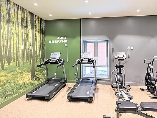 Rented by Skynest  | media 16