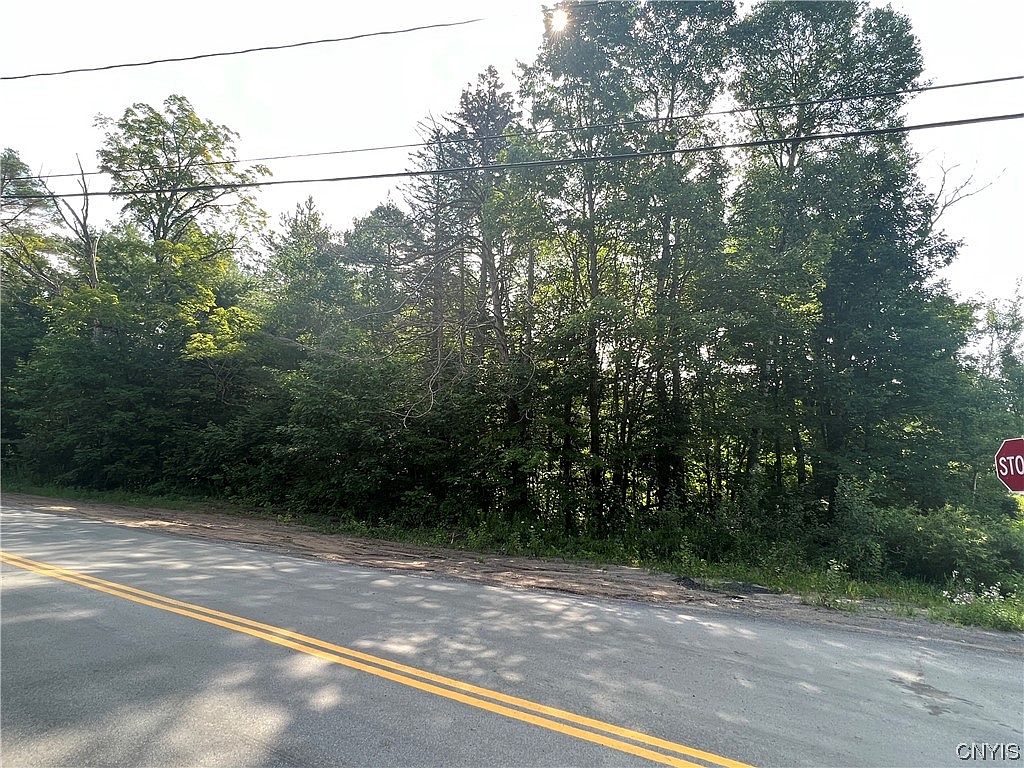 0 Brantingham Rd 1, Greig, NY 13345 MLS S1488063 Zillow