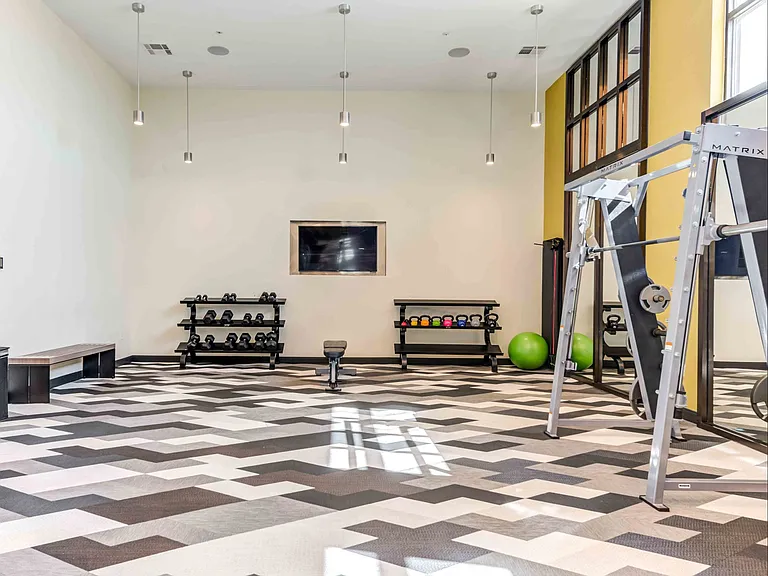 Fitness Center Free Weights