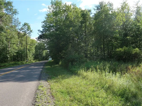 LOT 7 German Rd Lot 7, Willet, NY 13863