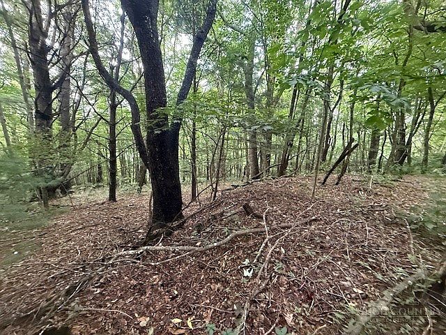 1st image of Lot 35/36 Walter Godbey Road