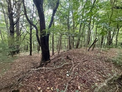 Lot 35/36 Walter Godbey Road, West Jefferson, NC, 28694