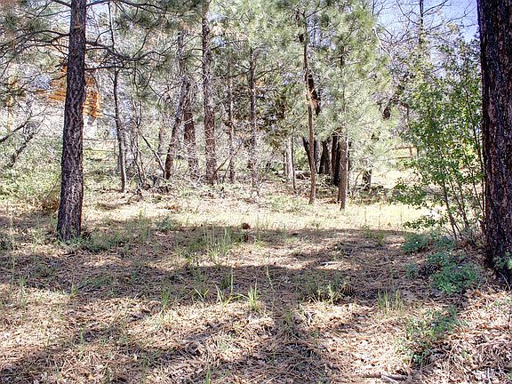 Lot/Land
