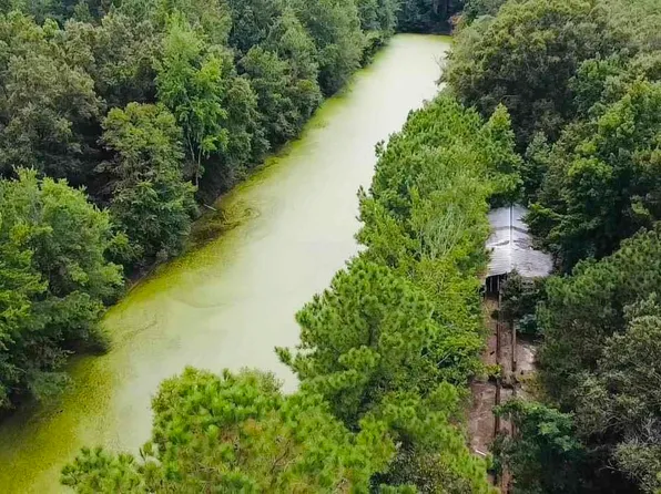 E Friendfield Rd Tract C-69, Coward, SC 29530