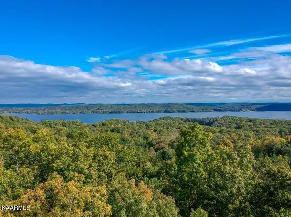 Spruce Dr, Spring City, TN 37381