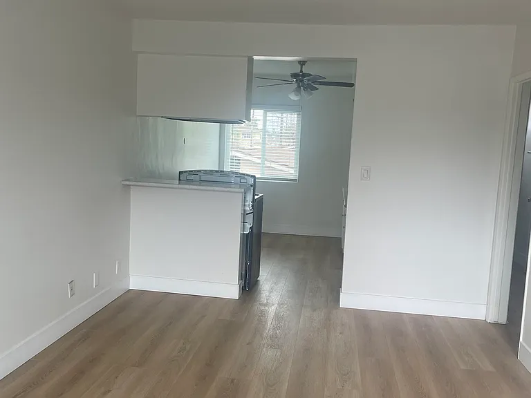 large living room. Entry view of the apartment.