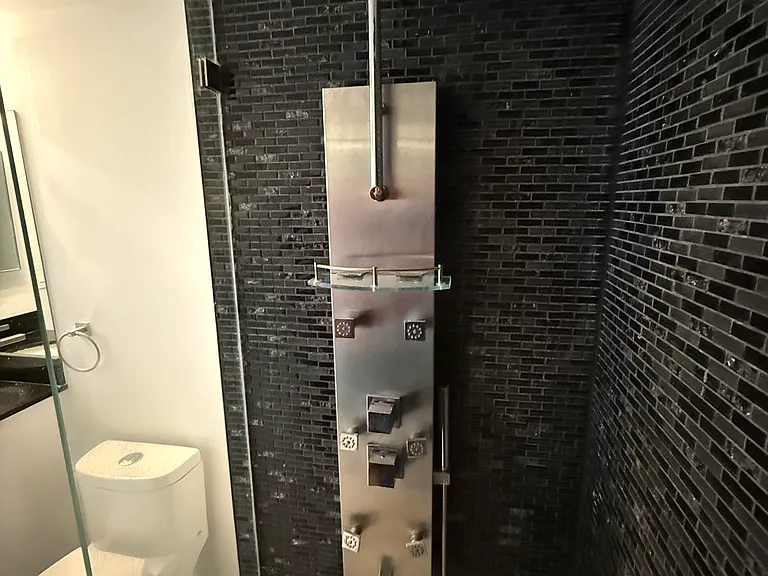 GUEST BATHROOM with custom quartz countertop, dimmable designer lighting & step-in shower with spa massage jets