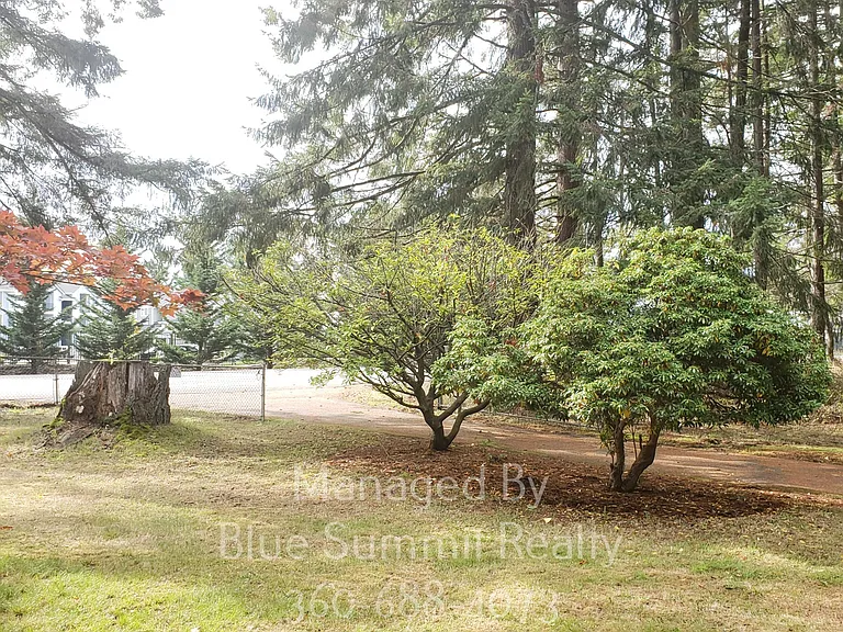 8534 Pacific Ave SE — Photo 14