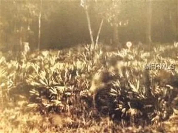 2022 Bellamy Rd, Florahome, FL 32140