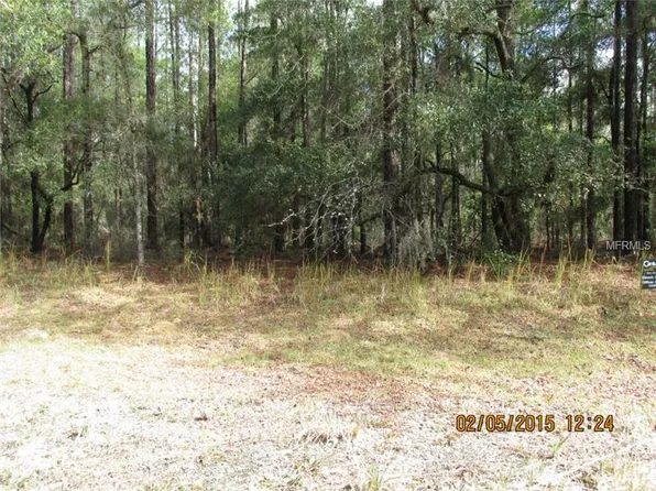 2569 W Andromedae Dr, Citrus Springs, FL 34433