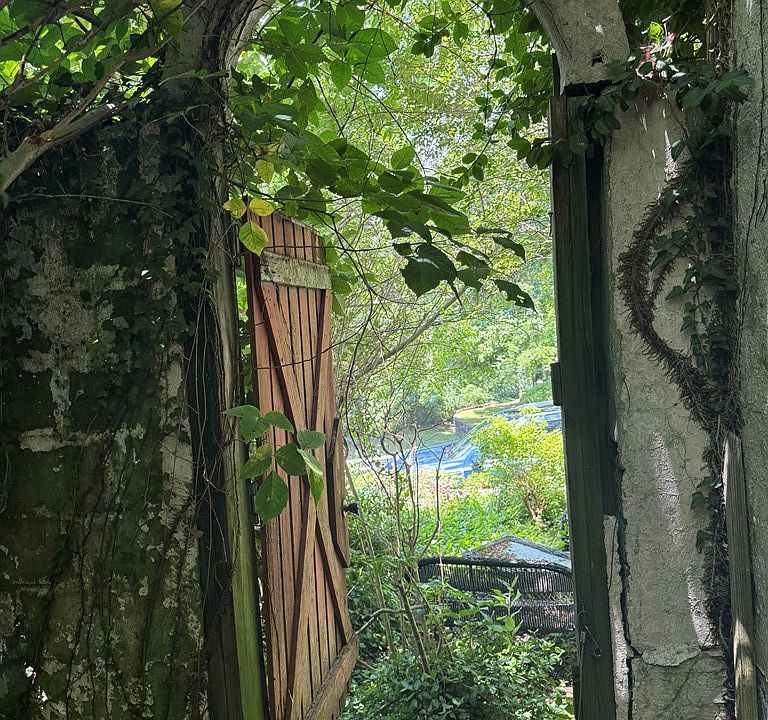 2nd image of 233 Walnut St