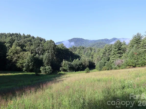 99999 Dream Valley Dr, Clyde, NC 28721