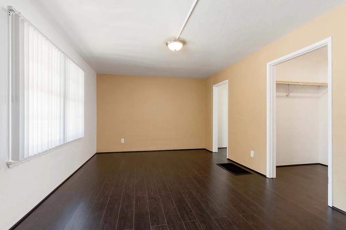 Living space - 455 Magnolia Ave