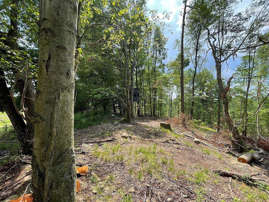 601 Chestnut Grove Rd - Property Image