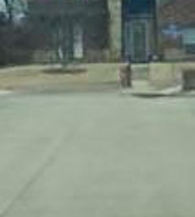 Exterior Neighborhood (street photo)