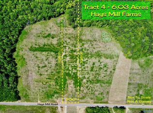 TRACT 4 Hays Mill Rd, Elkmont, AL 35620