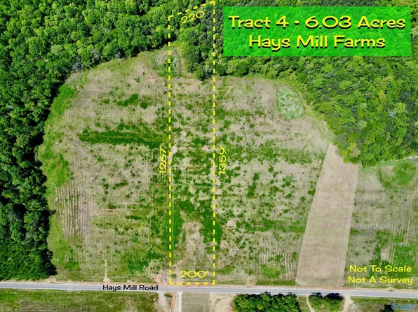 TRACT 4 Hays Mill Rd, Elkmont, AL 35620