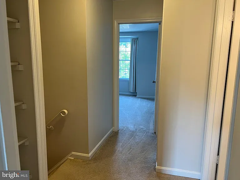 7384 Jiri Woods Ct — Photo 26