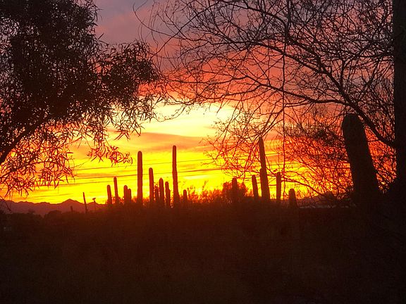 Fiery sunsets every night from your back patio