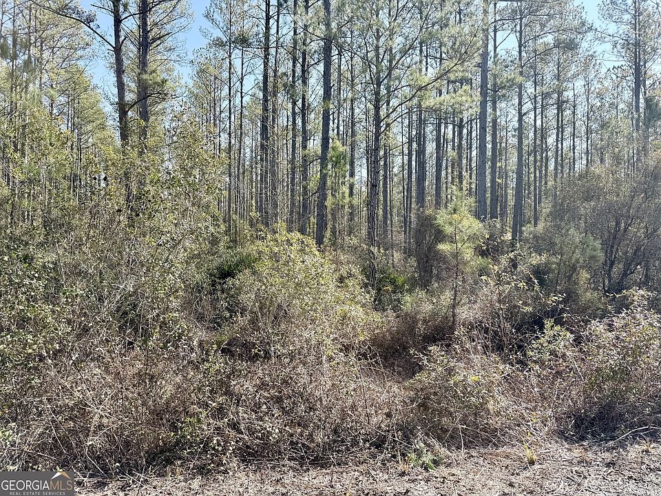 1st image of 18 Satilla Plantation