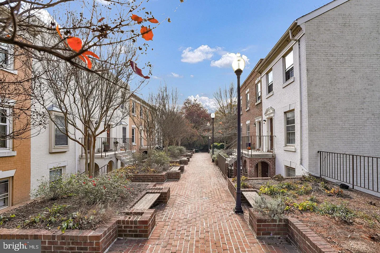 Mass Mews — Photo 3