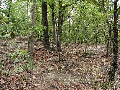5th image of 1580 Walking Stick Rd
