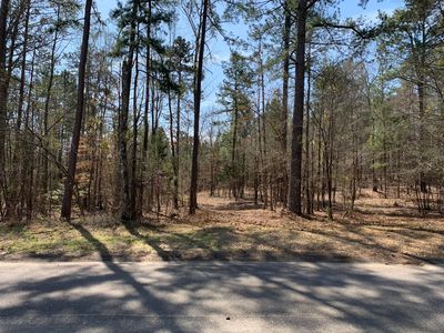 1403 Tanyard Creek Drive, Thomson, GA, 30824