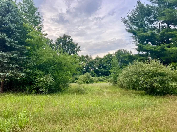 1143 38th St, Allegan, MI 49010