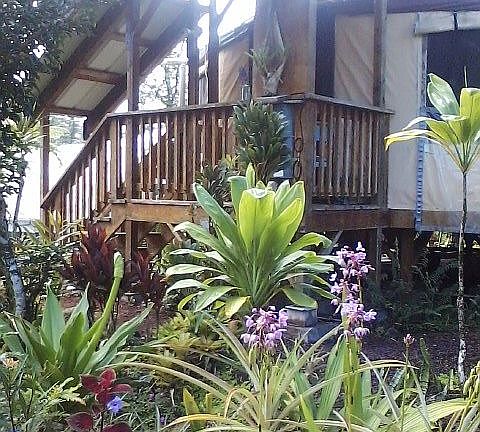 Yurt facing Lehua Road