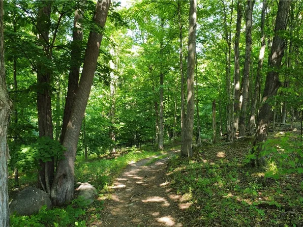 S Centenary Rd #910, Sodus, NY 14551