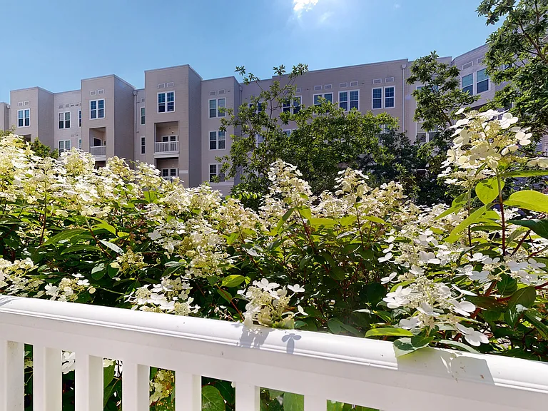 The Quarters at Towson Town Center — Photo 90