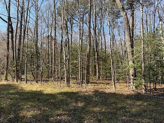 5th image of 709 Apple Grove Rd