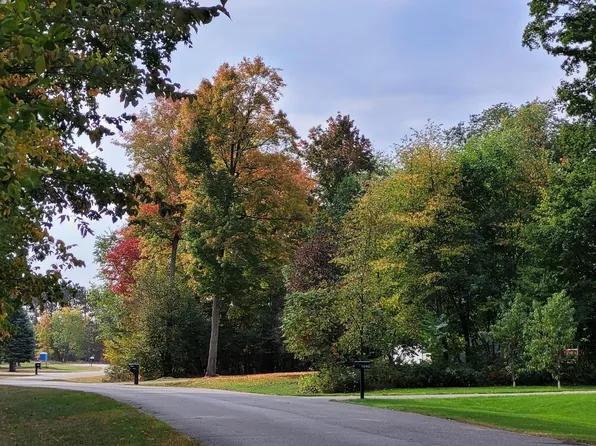 LOT 21 Lipp Farm Rd, Benzonia, MI 49616