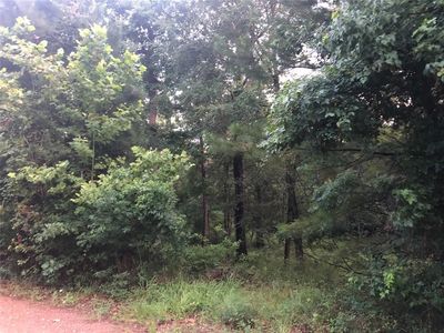 12 Shadow Ln, Montgomery, TX, 77316
