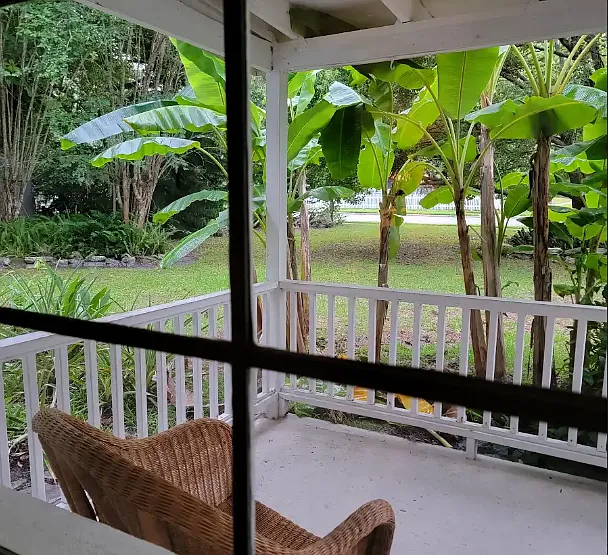 Front porch view with banana trees