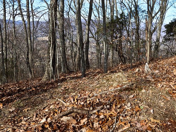 View NE to Swannanoa Valley.