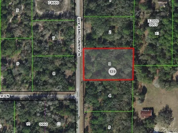 10095 N Dawnflower Ave, Crystal River, FL 34428