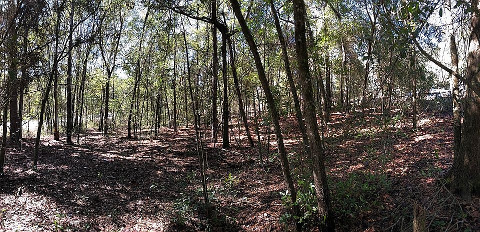 Natural landscape