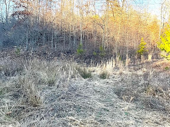 2nd image of 0 Bull Hollow Rd