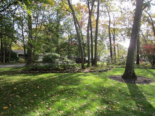 3rd image of 92 Sheppard Ln