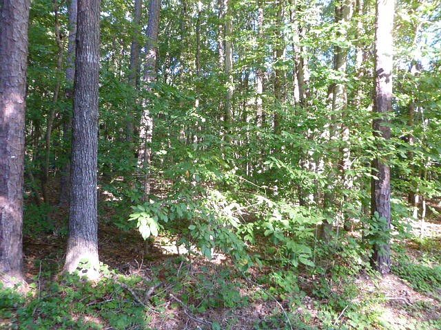 2nd image of 512 Greenbriar Rd