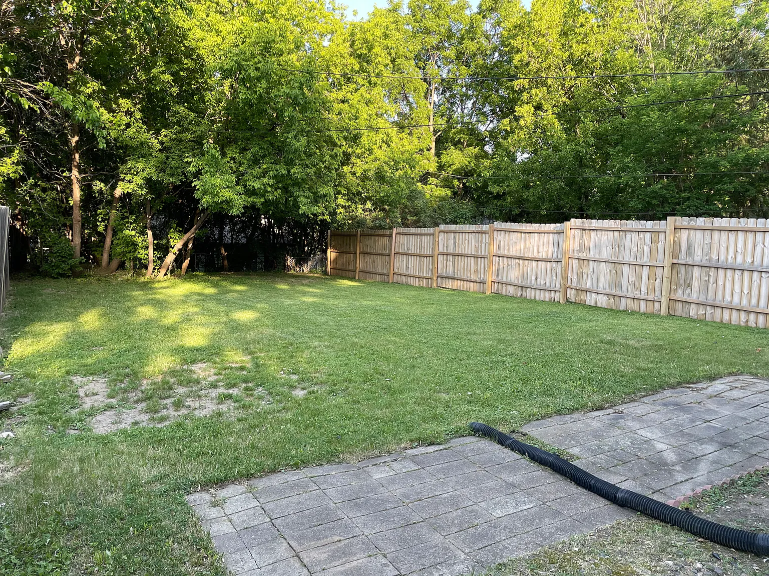 2 bed, 1200 sqft, $1,750 — Photo 2