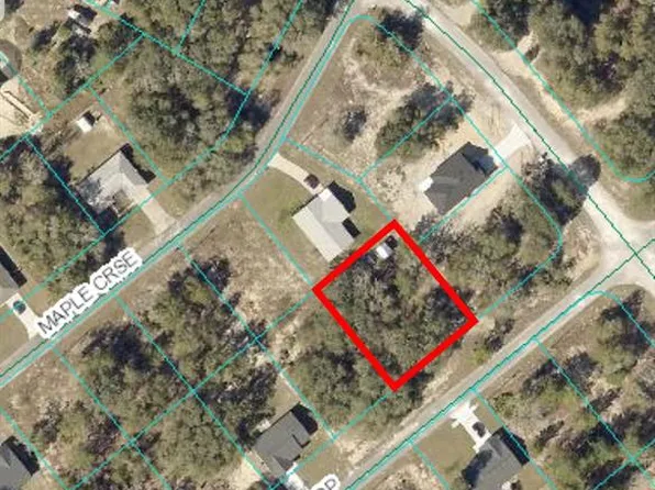 Malauka Loop Lot 4, Ocklawaha, FL 32179